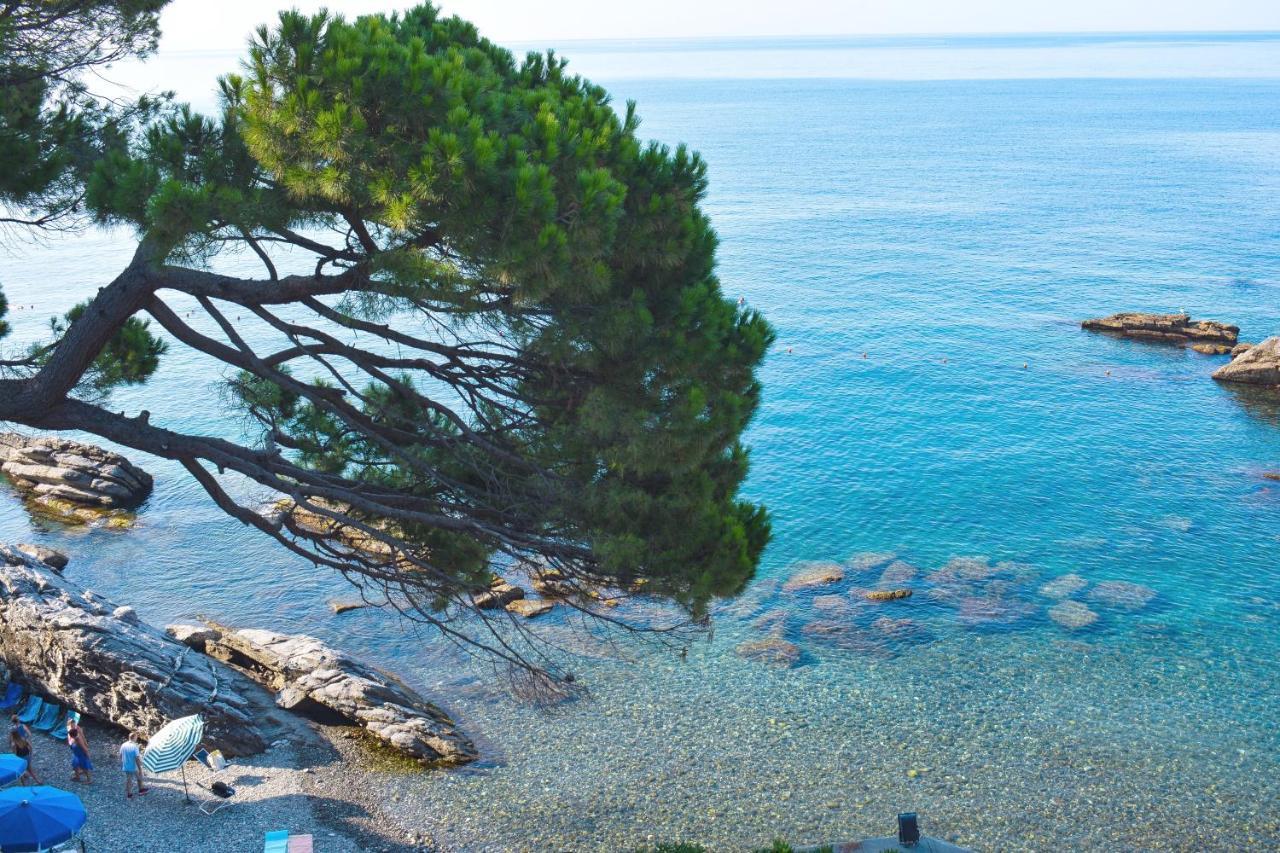 佐阿利La Terrazza Sul Mare公寓 外观 照片